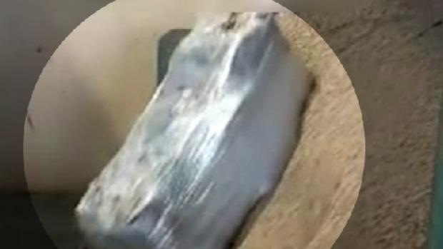 Interceptan 250 kilos de cocaína camuflados en un contenedor de café