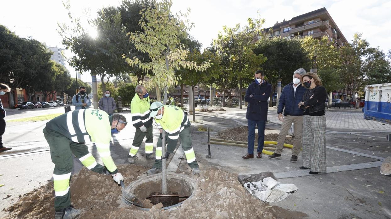 Operarios de la brigada de parques y jardines de Zaragoza, durante la plantación de un árbol en presencia de la consejera municipal de Servicios Públicos, Natalia Chueca (PP)