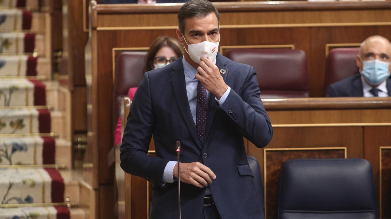 Sánchez, en el Congreso de los Diputados