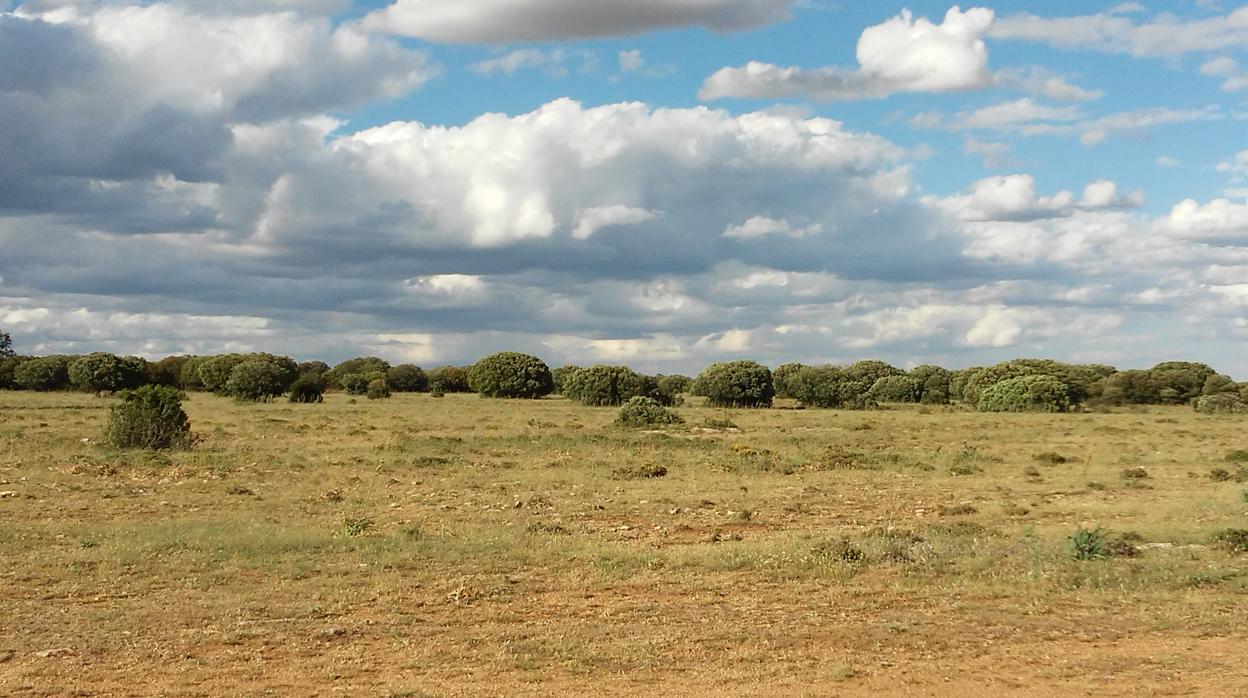 Paisaje con encinares en retroceso, en una imagen difundida con el estudio del CIDE