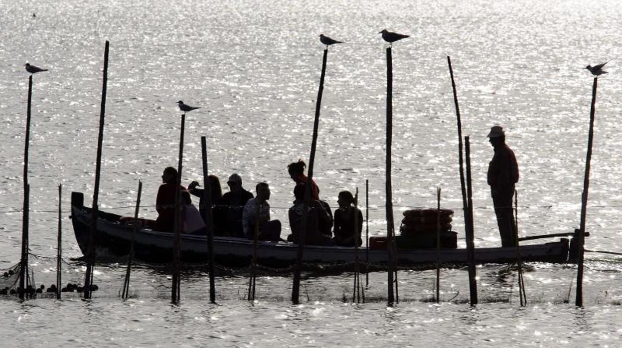 Una barca navegando por el parque natural de la Albufera