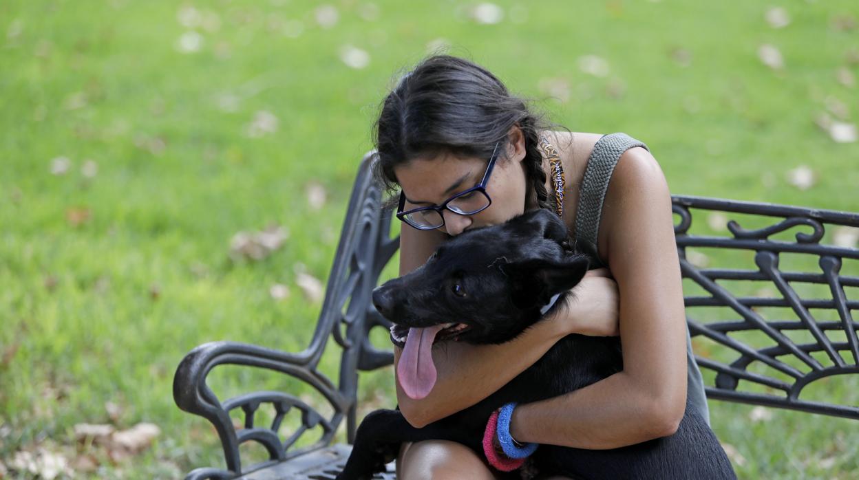 La norma reconocerá a estos animales como «seres sensibles que deben tener todas sus garantías cubiertas»