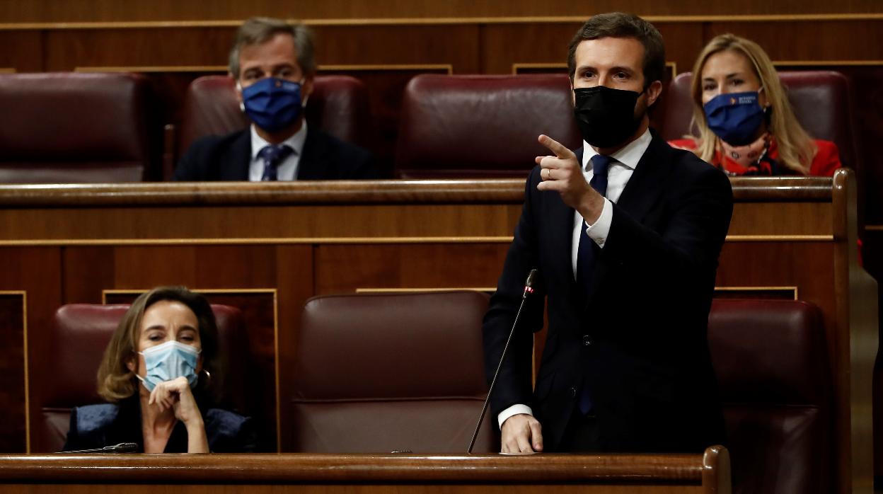 El presidente del PP, Pablo Casado, en el Congreso de los Diputados