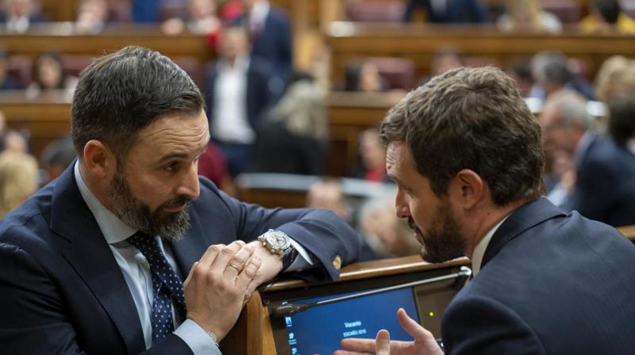 Santiago Abascal y Pablo Casado, en el Congreso de los Diputados