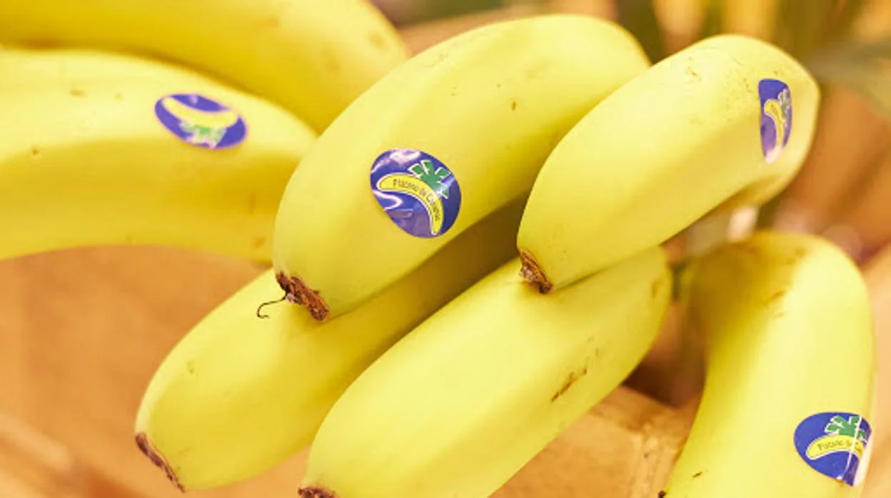 El Plátano de Canarias repetirá como fruta oficial de La Vuelta a España 2020