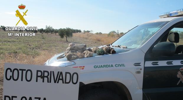 Investigados tres hombres que estaban cazando de forma ilegal en Los Yébenes