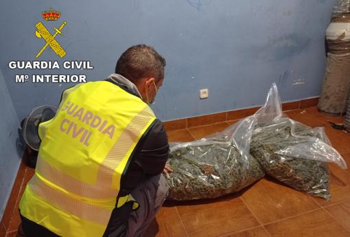 Droga embolsada y lista para su distribución