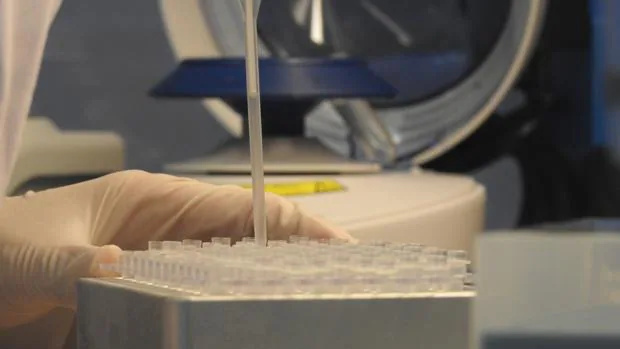 Una empresa especializada en el desarrollo de PCR para la detección de cualquier patógeno emergente