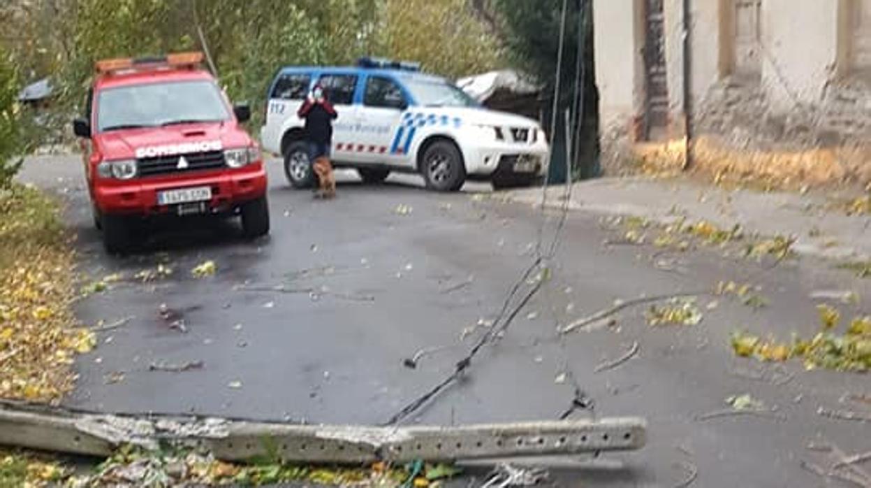 La caída de un árbol en Villanueva de Valdueza provocó el corte del suministro eléctrico a la zona del Valle del Silencio