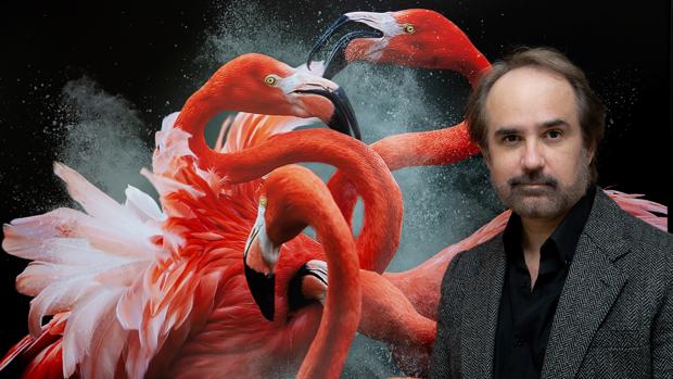 Pedro Jarque, fotógrafo de animales: «Su extinción masiva se está acelerando»