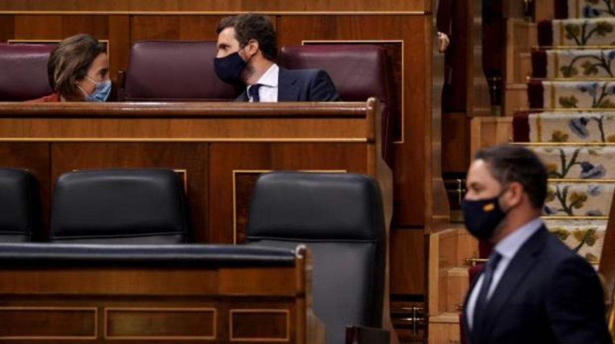 Santiago Abascal pasa ante el escaño de Pablo Casado en el Congreso