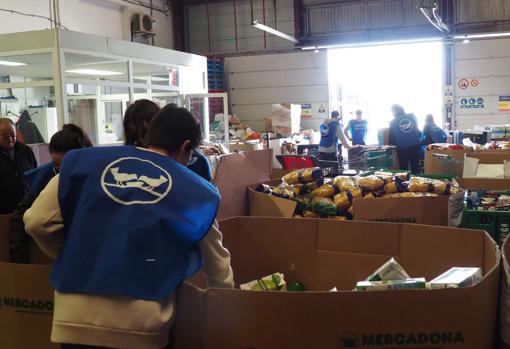 Voluntarios trabajan en el almacén de la ONG en Ciudad Real