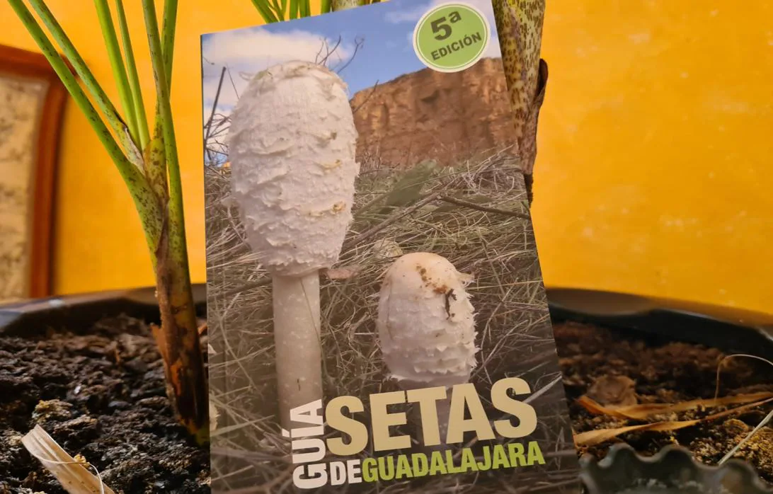 Los autores de la guía son Juan Carlos Campos y Alberto Arregui, que han contado con la colaboración de la Asociación Micológica Alcarreña La Senderuela