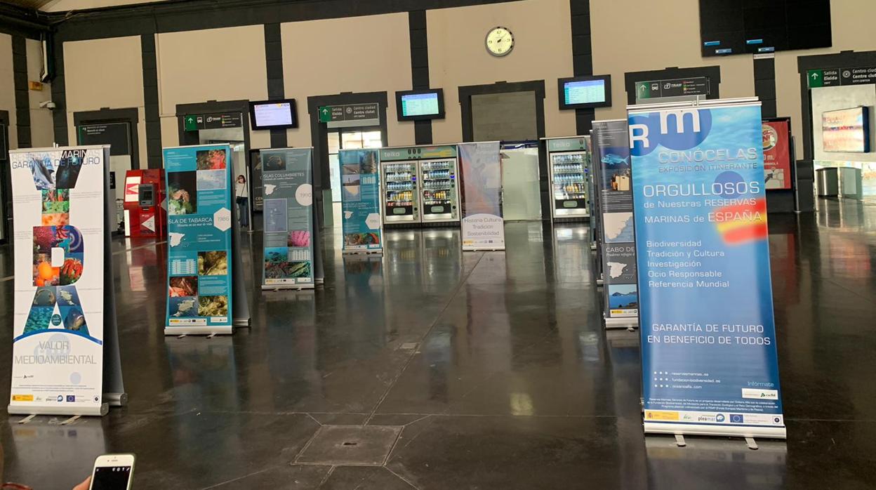 La exposición «Reservas Marinas, Garantía de Futuro», montada en la estación de tren de Alicante