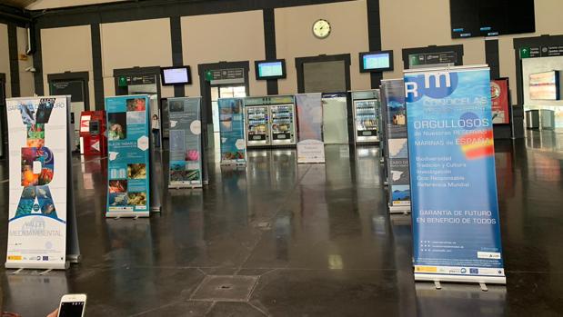 La exposición «Reservas Marinas, Garantía de Futuro» llega a la estación de tren de Alicante