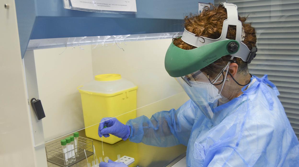 Coronavirus: descienden a 1.656 los positivos en Castilla y León y a 38 las muertes