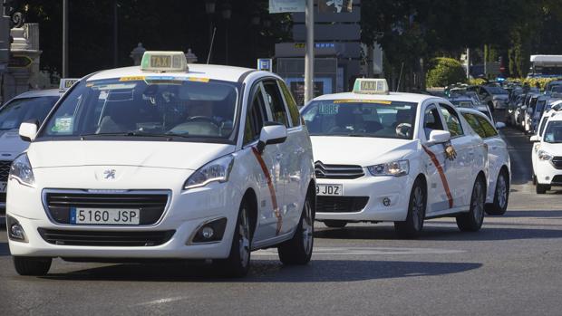 La oferta del taxi en Madrid se podrá reducir «en situaciones excepcionales» como la del Covid