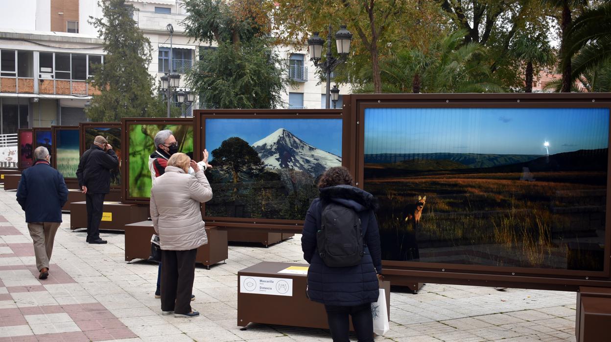 National Geographic muestra en Ciudad Real las mejores fotos de naturaleza en «De Polo a Polo»