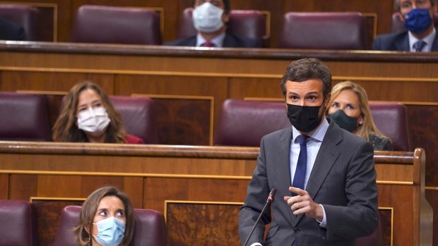 Pablo Casado viajará el fin de semana a Canarias en plena crisis migratoria