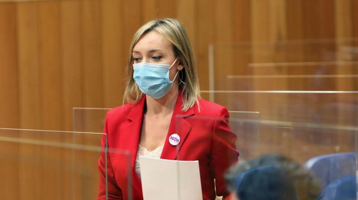 Fabiola García, conselleira de Política Social, este martes en el Parlamento gallego