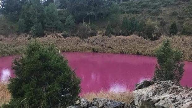 El misterioso fenómeno que ha vuelto a teñir de rosa la laguna de Cañada del Hoyo (Cuenca)