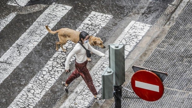 Coronavirus en Valencia: la pandemia ya suma más de 100.000 contagiados en la Comunidad Valenciana