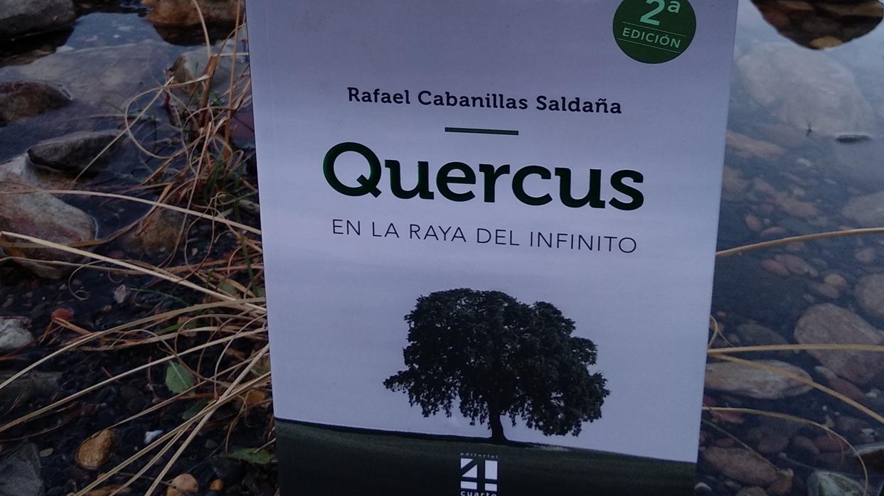 «Quercus», de Rafael Cabanillas, el último fenómeno literario sobre la España vaciada