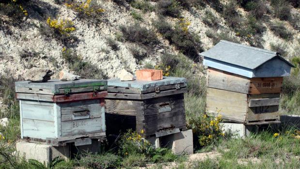 Dos detenidos por el robo de ocho colmenas en León