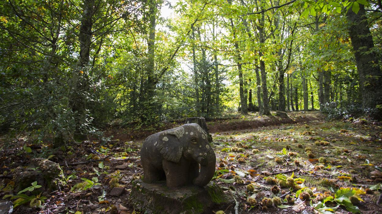 Bosque de Honfría (Salamanca)