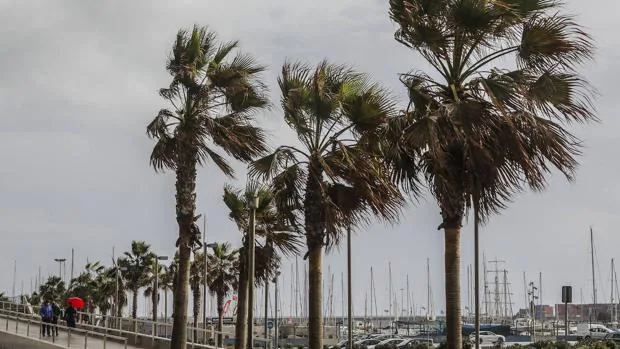 El tiempo en Valencia: alerta por fuertes vientos que se prolongarán hasta el sábado