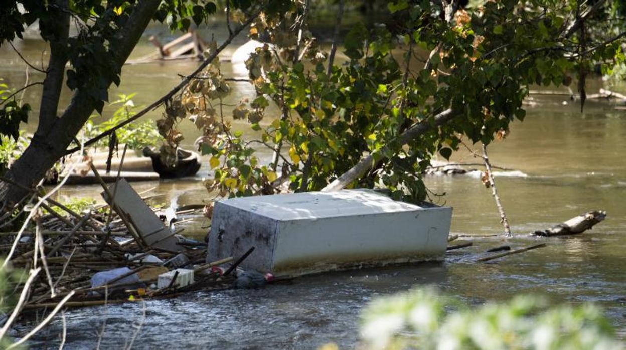 Imágenes realizadas el pasado verano de todo tipo de vertidos y residuos acumulados en las márgenes del río a su paso por las veredas de Arroyomolinos y Móstoles, cercanas al poblado chabolista de Las Sabinas