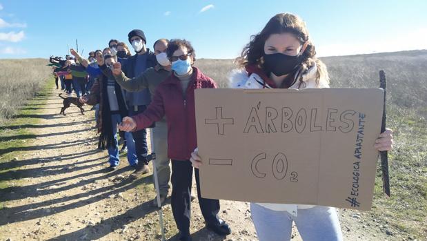 Siembran bellotas en Las Tablas de Daimiel para recuperar el bosque autóctono