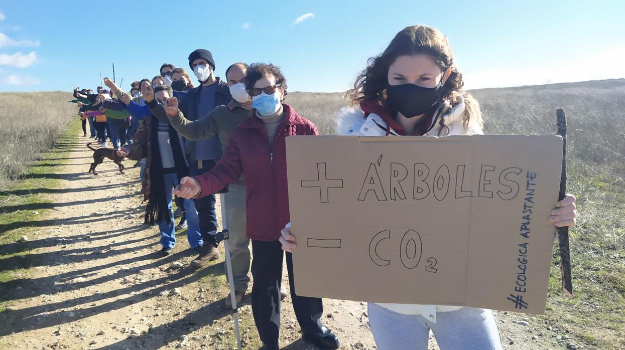 Siembran bellotas en Las Tablas de Daimiel para recuperar el bosque autóctono