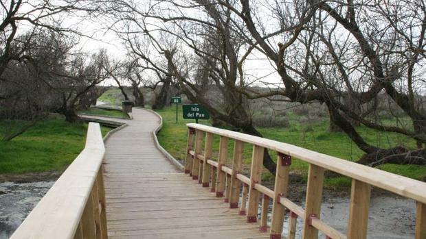 Denuncian retrasos en los pagos a trabajadores de la limpieza en Cabañeros y Tablas de Daimiel