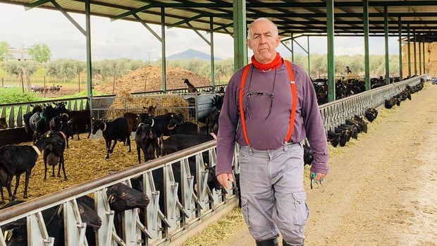 «Soy Adolfo Sánchez, el único cabrero profesional de Guadamur, y nada tengo que ver con el robo de crucifijos»