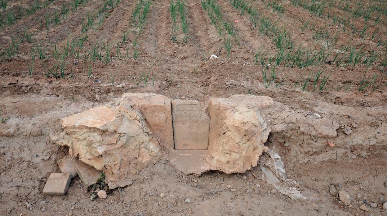 Imagen de la exposición de Asunción Molinos Gordo para el IVAM