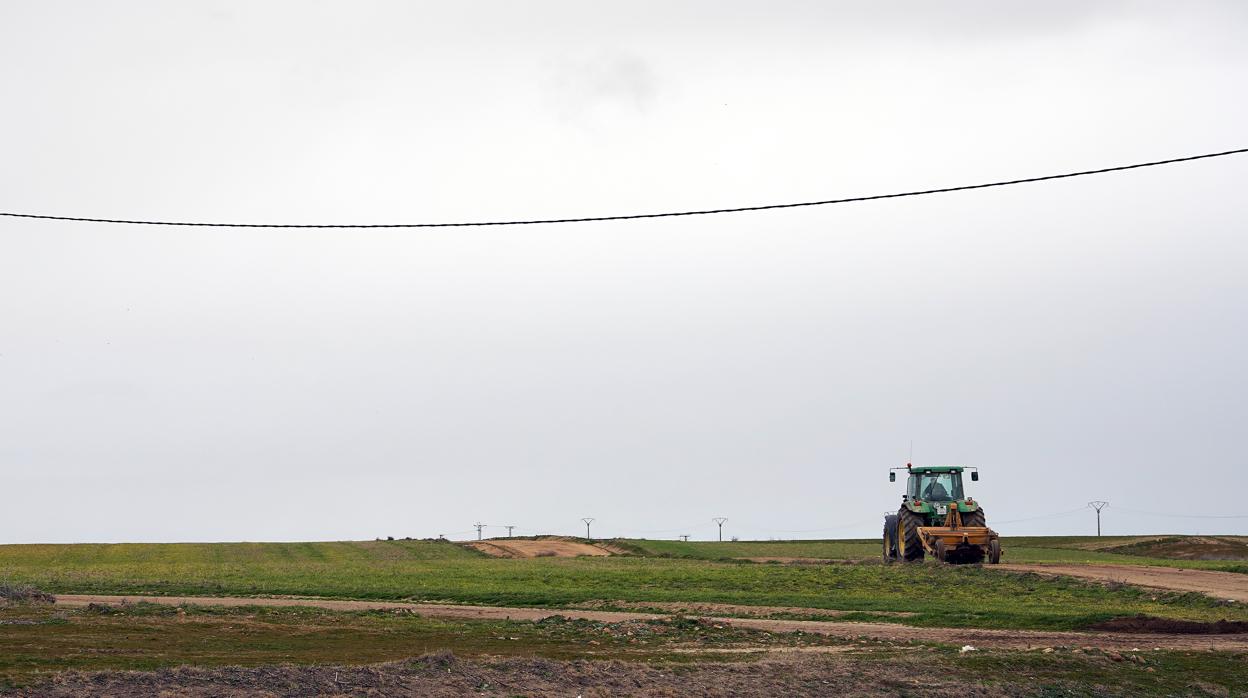 Castilla y León anticipa en dos meses el pago de 813 millones de la PAC