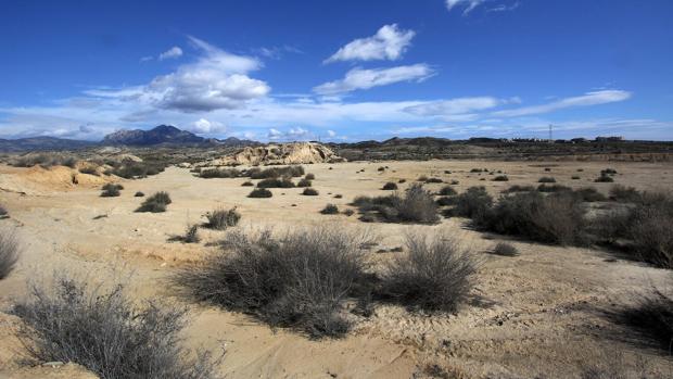 La «huerta de Europa» se reducirá a la mitad con el recorte al trasvase del Tajo al Segura