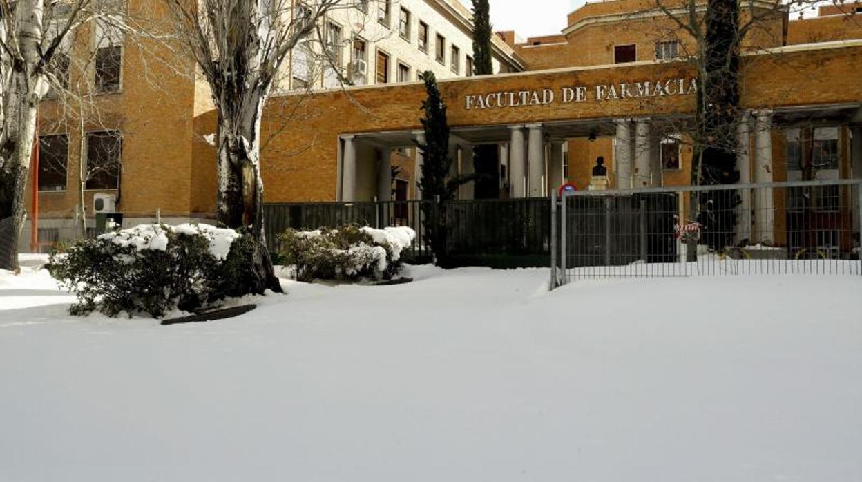 Las clases presenciales están suspendidas en todos los niveles educativos. En la imagen, campus de la Complutense, hoy