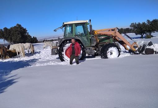 Faustino, con su tractor en una finca para llevar comida a los caballos de Juan Ángel