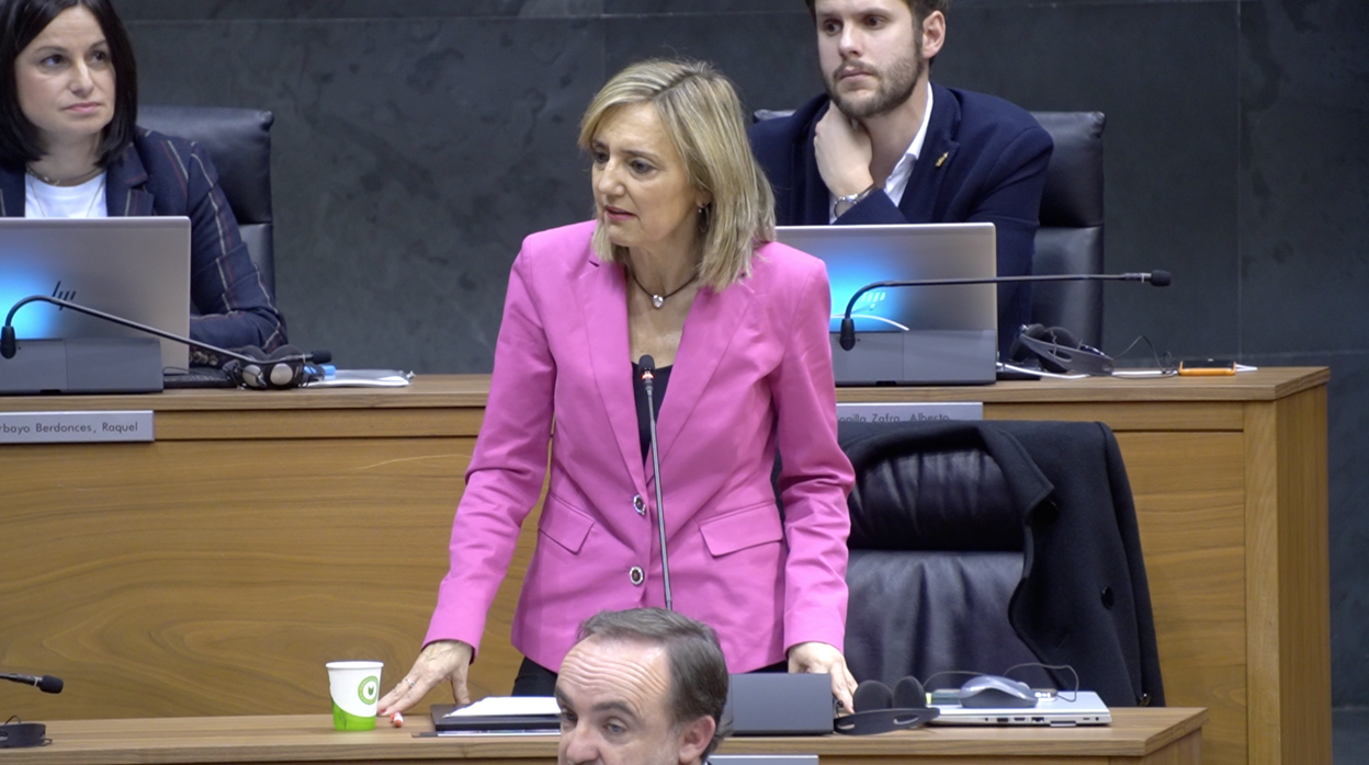 Cristina Ibarrola, parlamentaria de Na+ y ex directora general de Salud en una intervención en el Parlamento.