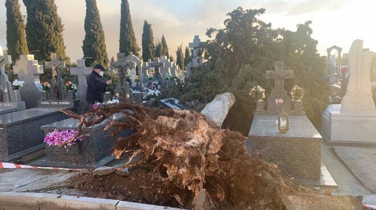 El cementerio de Calzada de Calatrava ha sido uno de los más afectados tras el paso del temporal