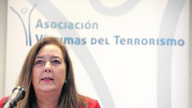 La AVT denuncia en el Senado que «luchan en solitario» ante los que quieren cambiar el relato del terrorismo