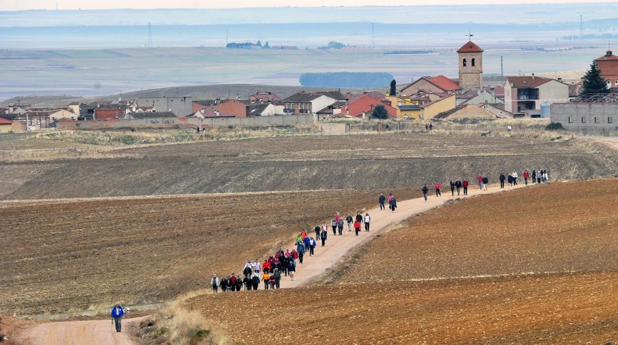 Camino de San Frutos