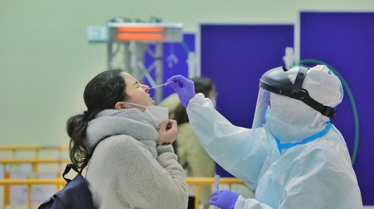 Cribado en la Universidad de Valladolid, en una imagen de archivo