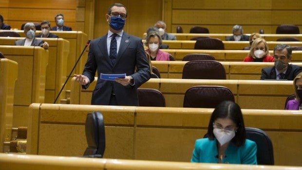 Maroto (PP) en el estreno de Darias en el Senado: «Estamos vacunados de espanto de las mentiras que dicen»