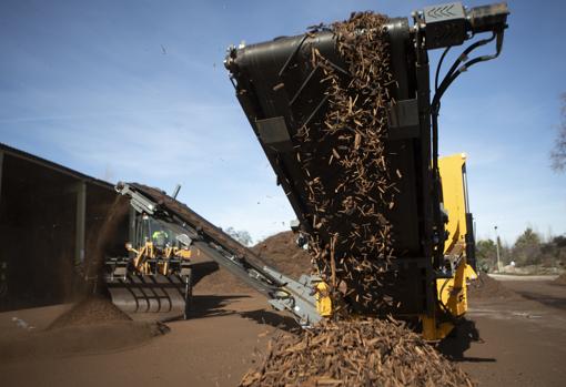 La cribadora separa el compost (a la izquierda) del «mulch»