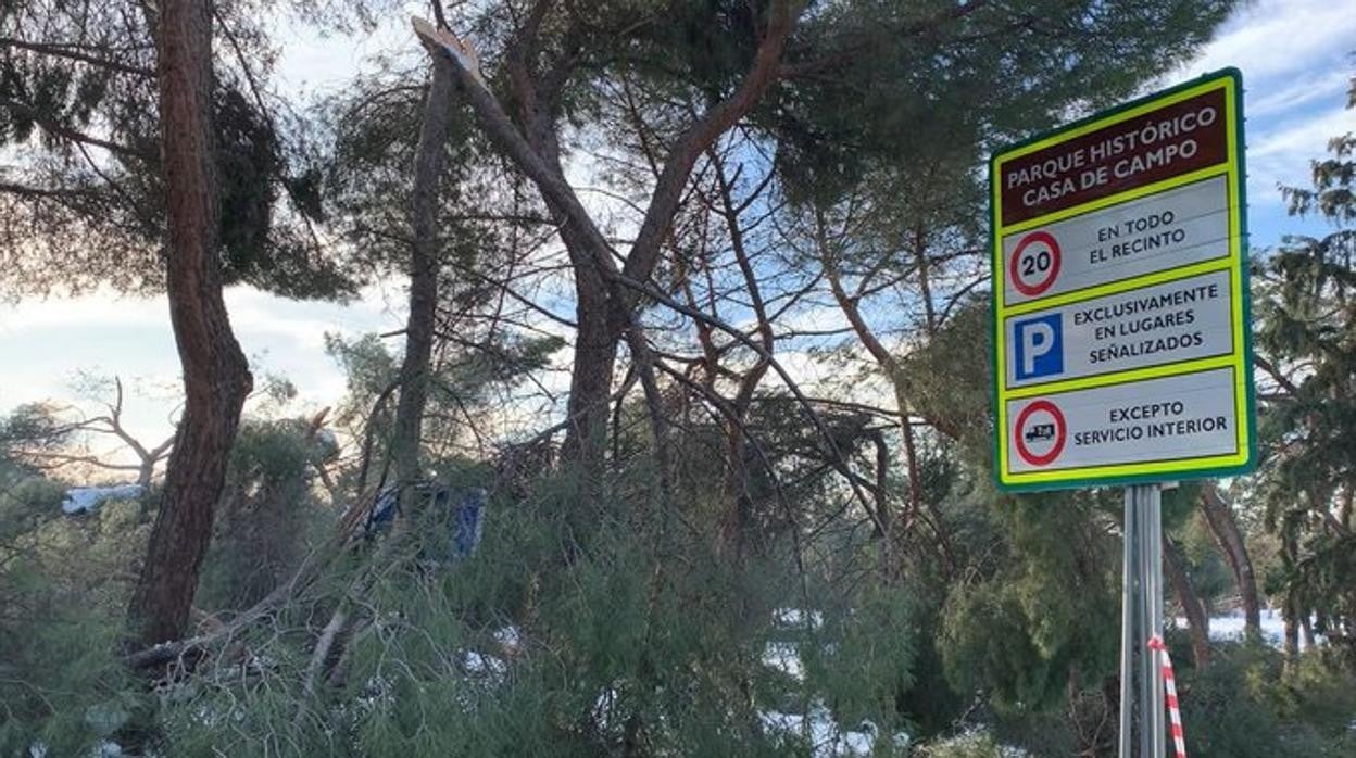 Unos de los accesos al lago de la Casa de Campo que se ha habilitado para el público