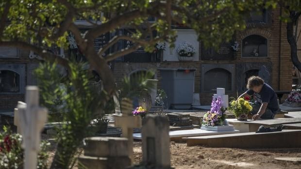 Profanan una veintena de tumbas en el cementerio de Paiporta (Valencia)