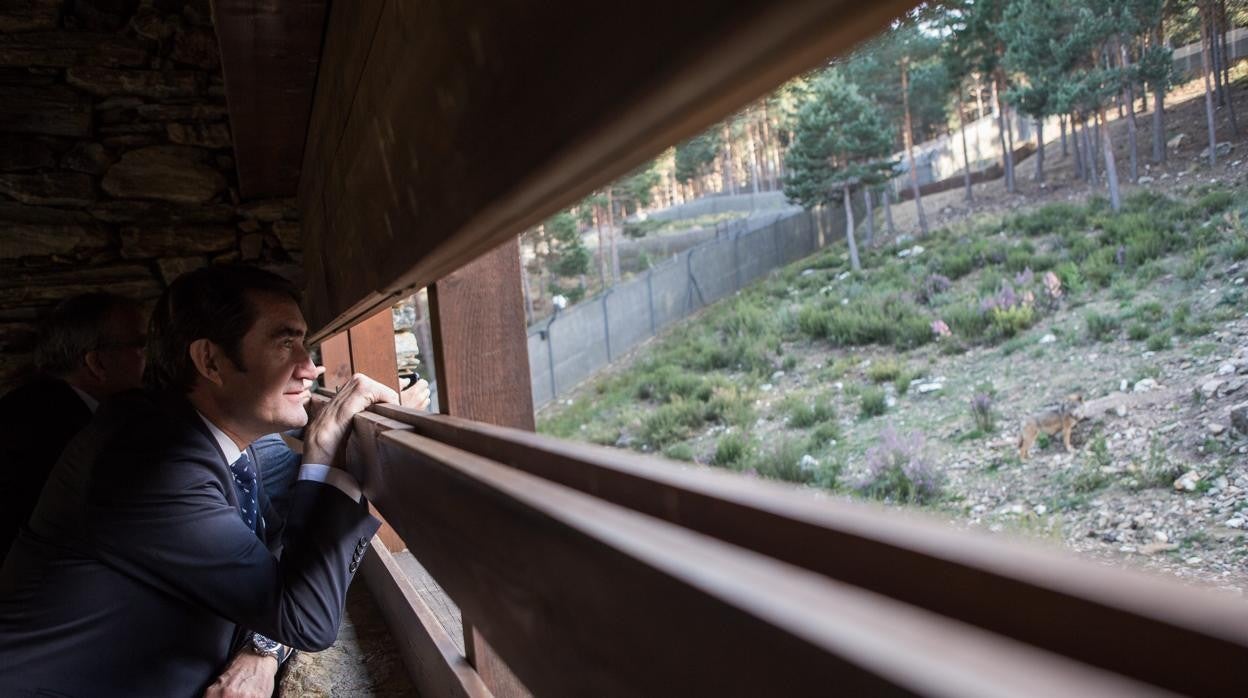 El consejero de Fomento y Medio Ambiente de la Junta de Castilla y León, Juan Carlos Suárez-Quiñones, durante una visita al centro del lobo en Zamora